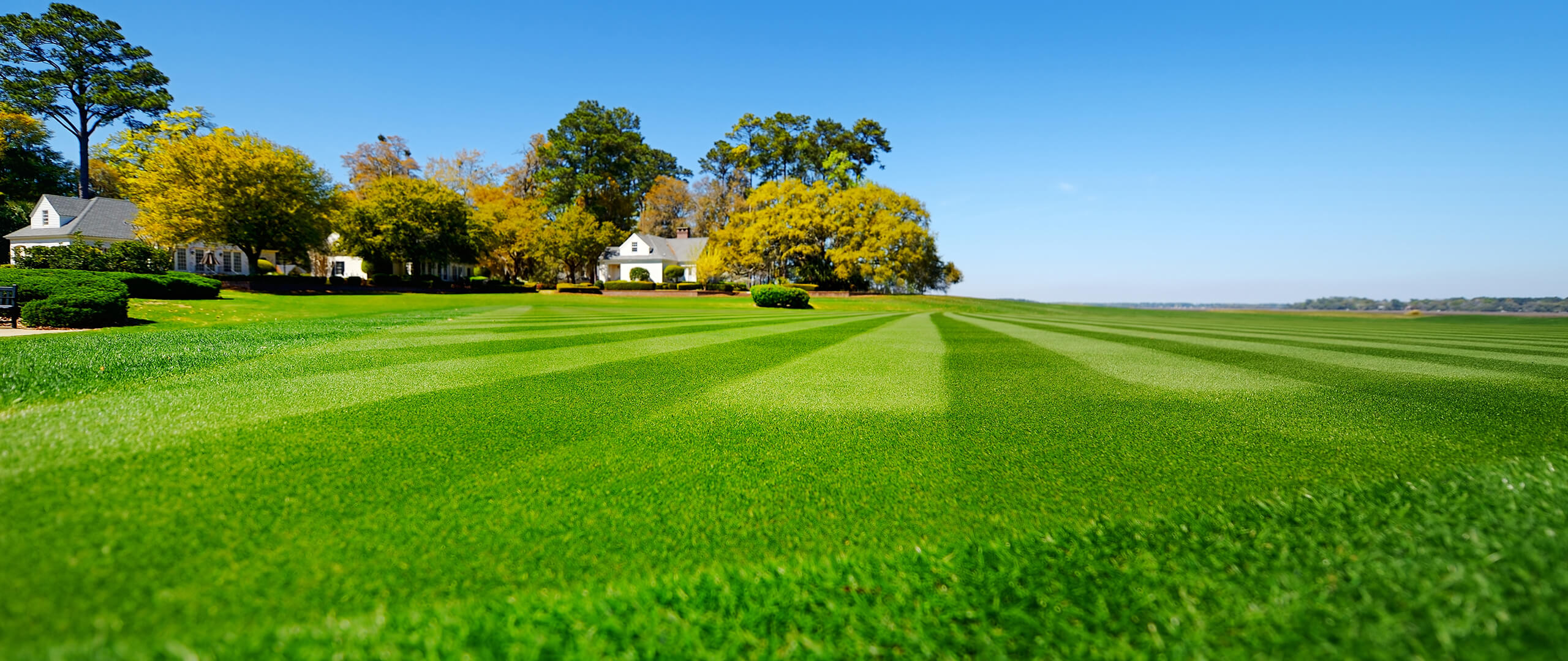 A wide-angle, low-perspective shot of a pristine, vibrant green lawn featuring professional striped mowing patterns, leading toward a background of suburban houses and autumn trees under a clear blue sky. A wide-angle, low-perspective shot of a pristine, vibrant green lawn featuring professional striped mowing patterns, leading toward a background of suburban houses and autumn trees under a clear blue sky.